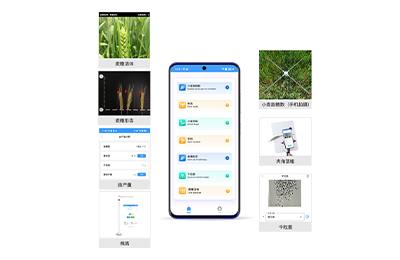 武威市小麦表型检测仪IN-XM04