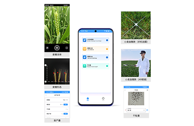 武威市小麦亩穗数分析仪IN-XM02